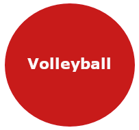 Logo Volleyball